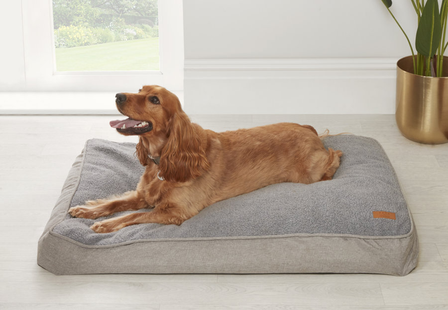 Dog Beds Wayfair